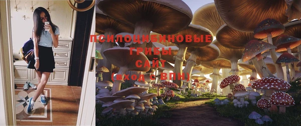 героин Краснослободск